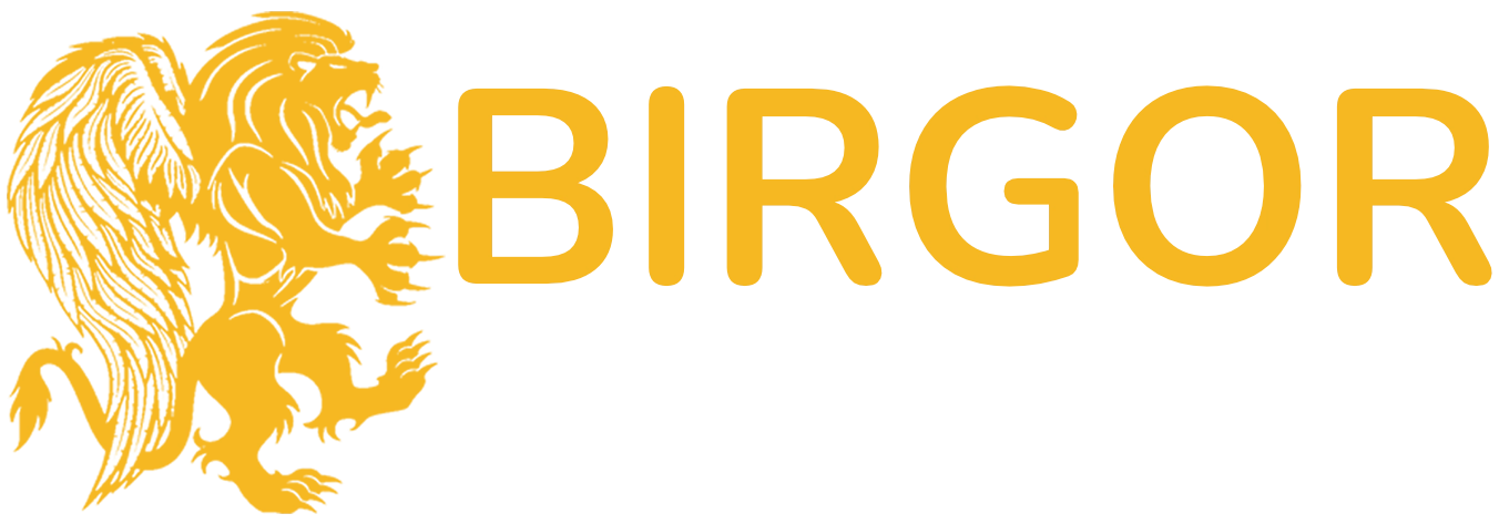 BIRGOR Immo Invest